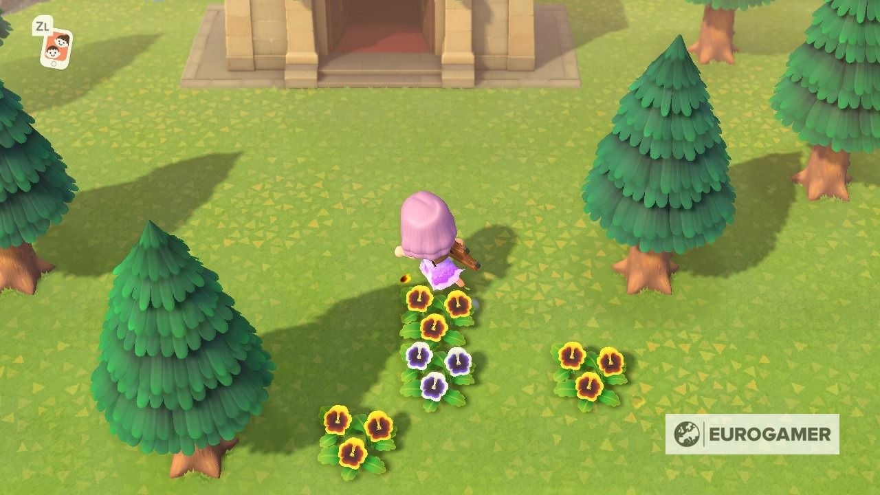 Animal Crossing Flowers Hybrids, crossbreeding and colour combinations